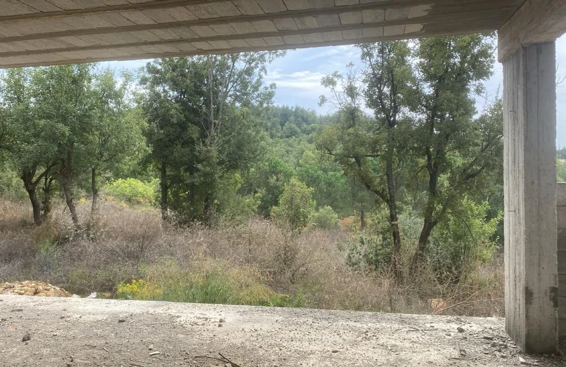 Große Öffnung des Wohnraums im Rohbau mit Blick auf die Bäume